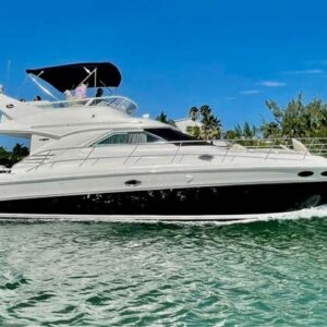 #23 SEA RAY WITH FLYBRIDGE 44 FT